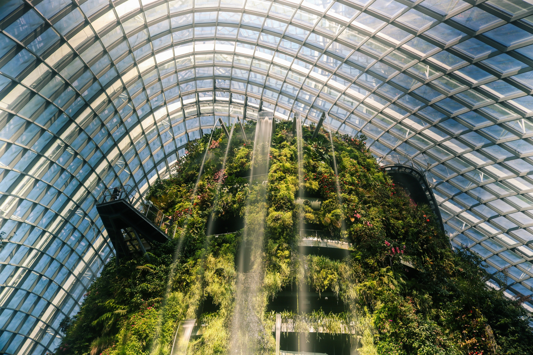 Green Trees Inside the Glasshouse